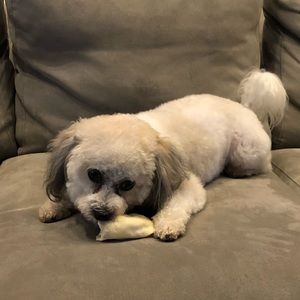 Meet your Posher, Ben